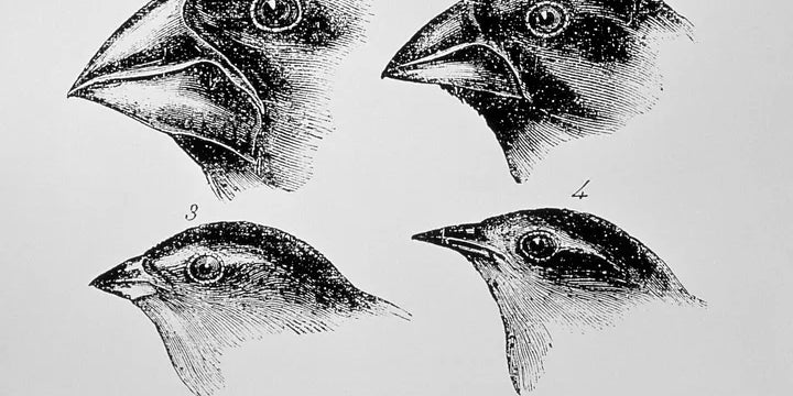 Trusting The Numbers: An Exploration Into Data Skepticism