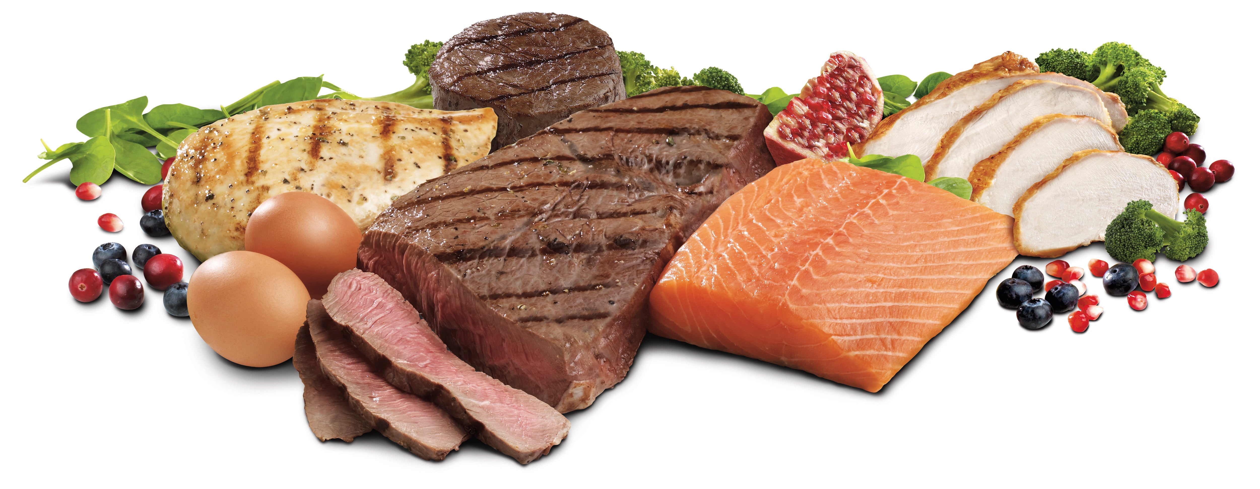 Protein Requirements for Athletes