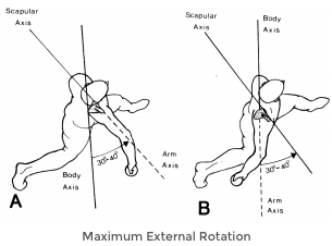 Reviewing ASMI's Biomechanical Analysis of Dr. Marshall's Pitchers (Focus: Performance/Velocity)