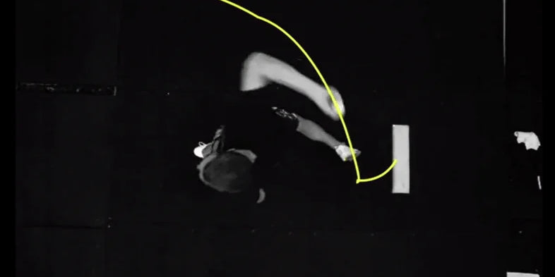 The Interaction of Biomechanics and Command