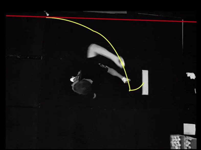 The Interaction of Biomechanics and Command