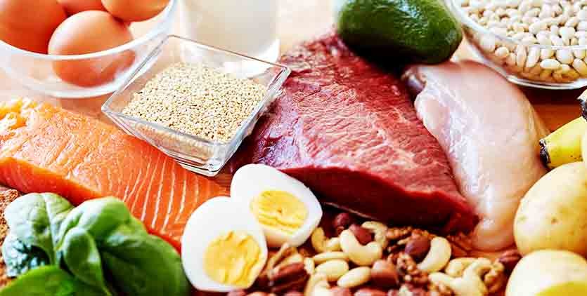 Minimum Protein Needs Based on the Season
