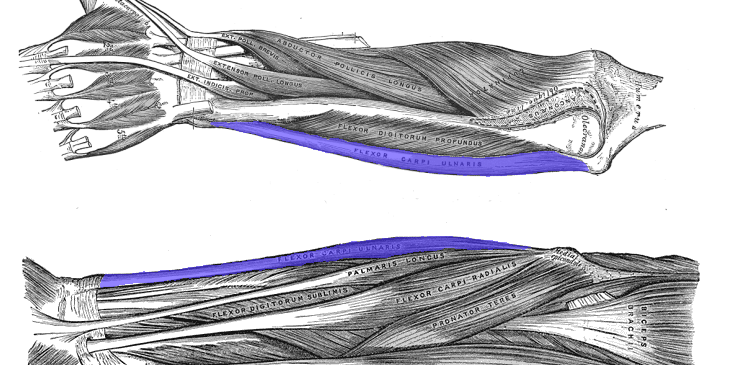 Challenges with Typical Biomechanical Analyses of Pitching