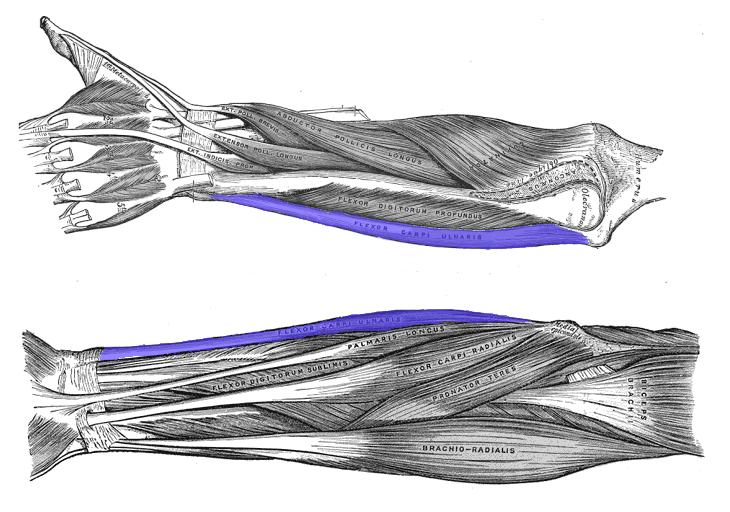 Challenges with Typical Biomechanical Analyses of Pitching