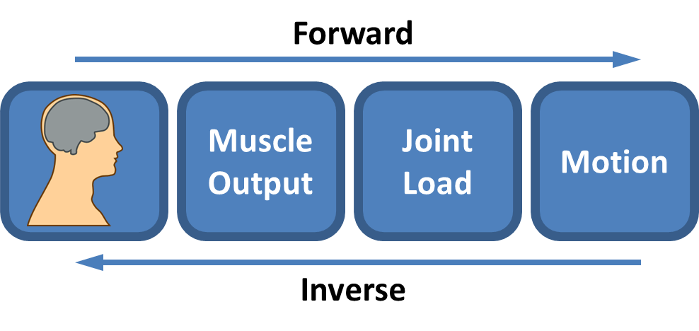 A More Forward Approach to Understanding Pitching Biomechanics