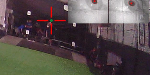 How do Batters See the Ball? A Review of Gaze Research in Batting