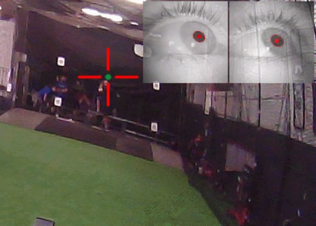 How do Batters See the Ball? A Review of Gaze Research in Batting