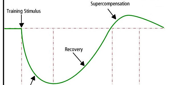 A Guide to Strength-Training Progression - Part III