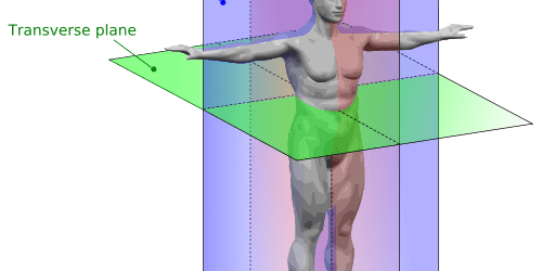 Olympic Lifts for Baseball Players - Is Power Planar?