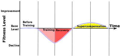 The Basics of Recovery for Athletic Performance