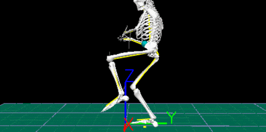 driveline biodex