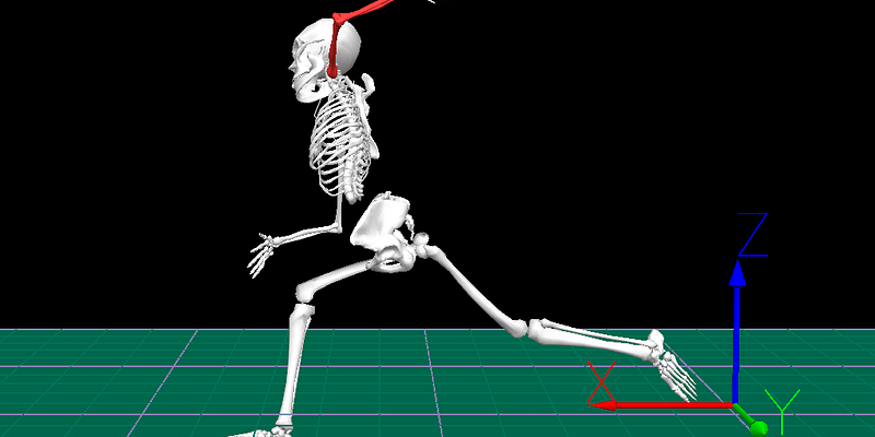 The Limits of Motion Capture: Understanding Arm Pain