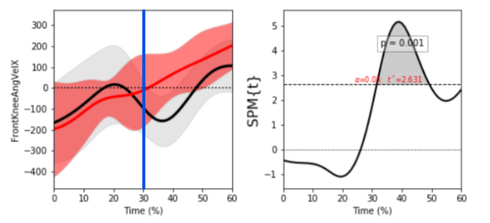 Full Signal Analyses: The Next Step in Biomechanical Analysis