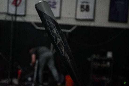 Implementing the Axe Long Bat into Training