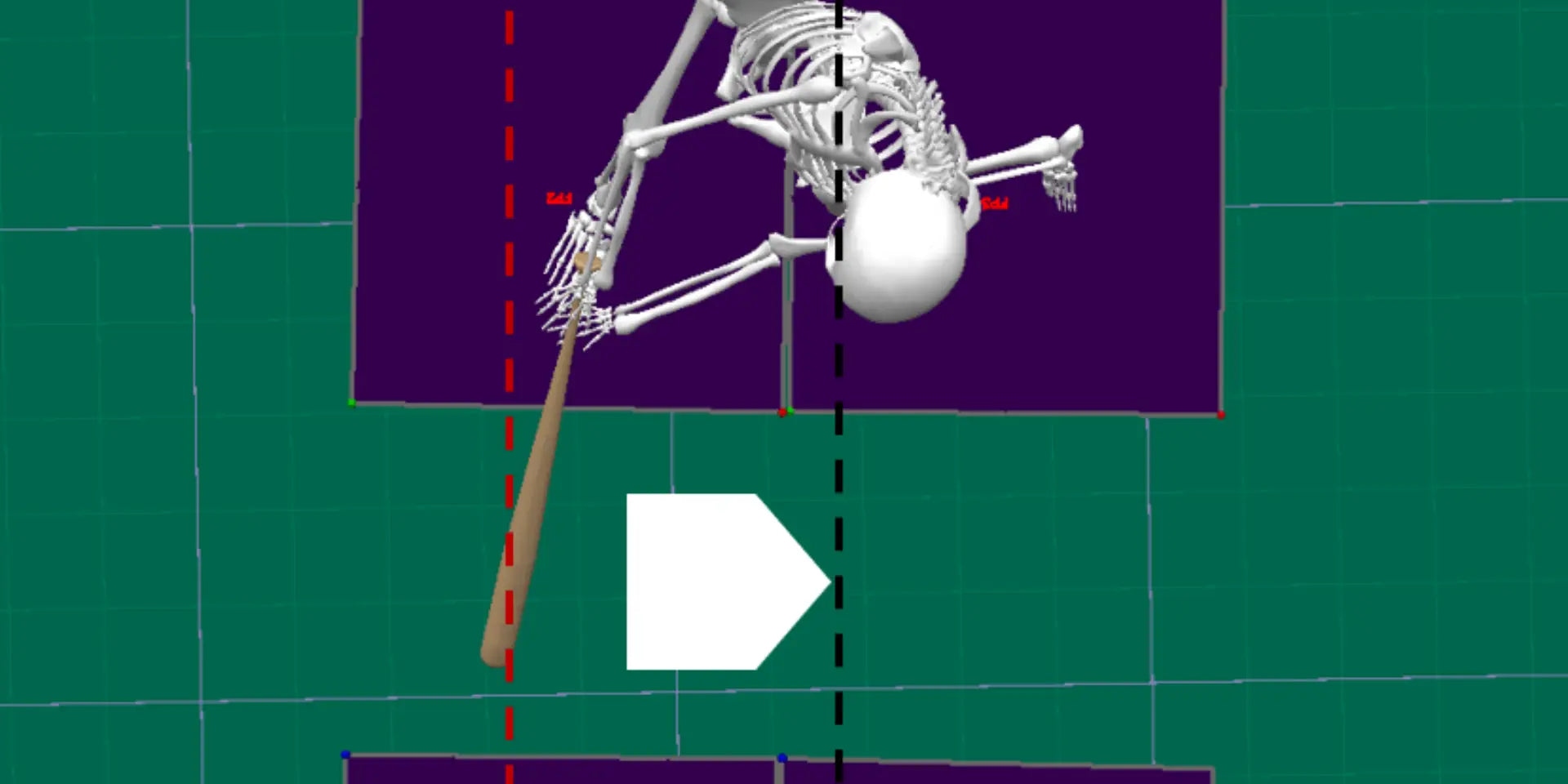 Hitting Biomechanics