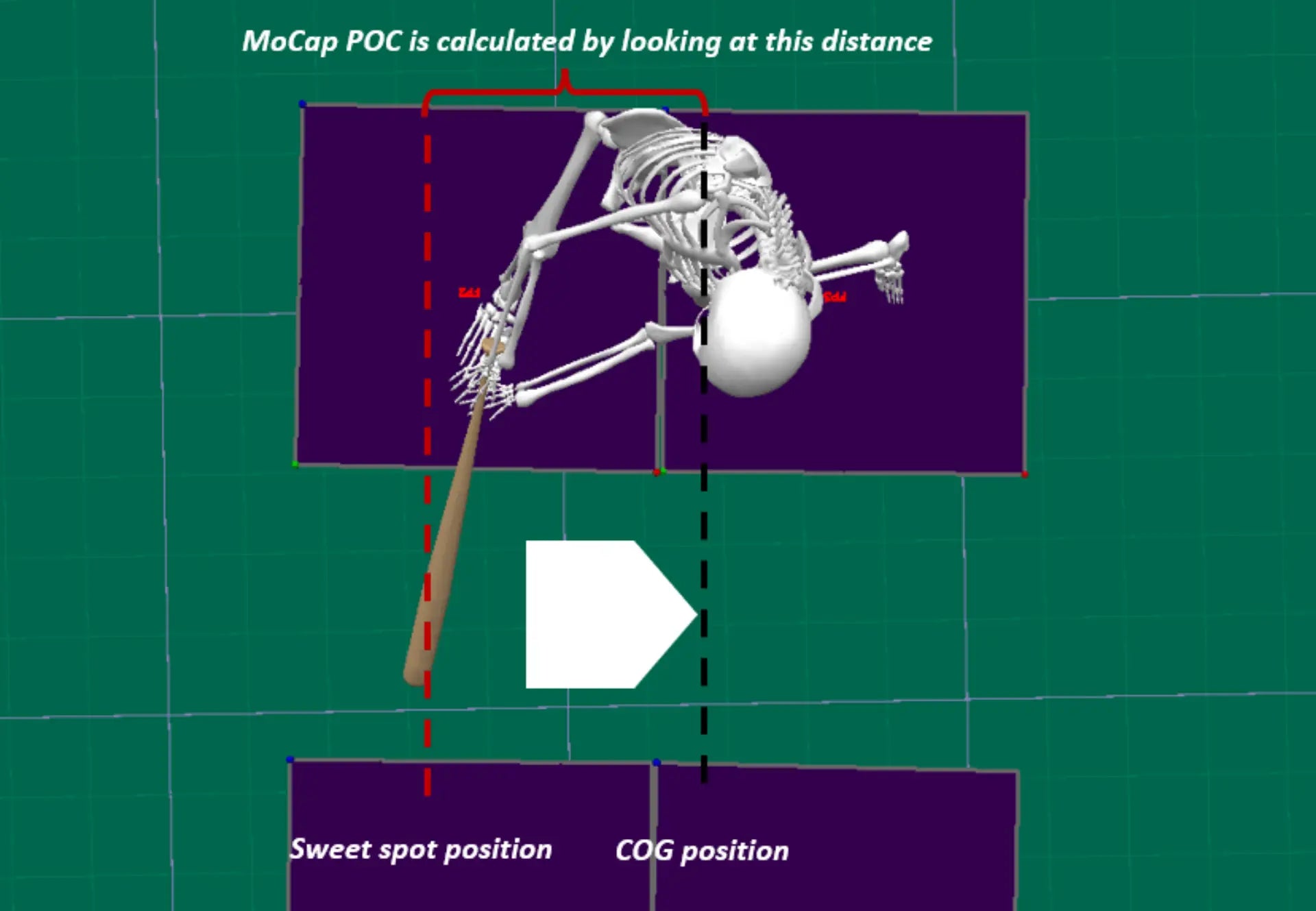 Hitting Biomechanics