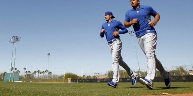 Appropriate Energy System Development - Why Running Poles is a Bad Idea