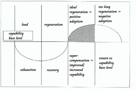 Overtraining: A Serious Problem