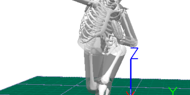 How We Interpret Biomechanics Reports