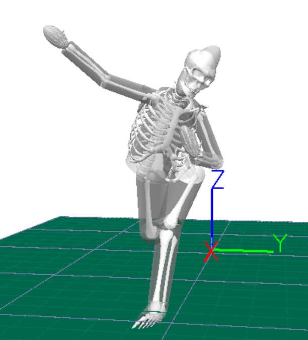 How We Interpret Biomechanics Reports