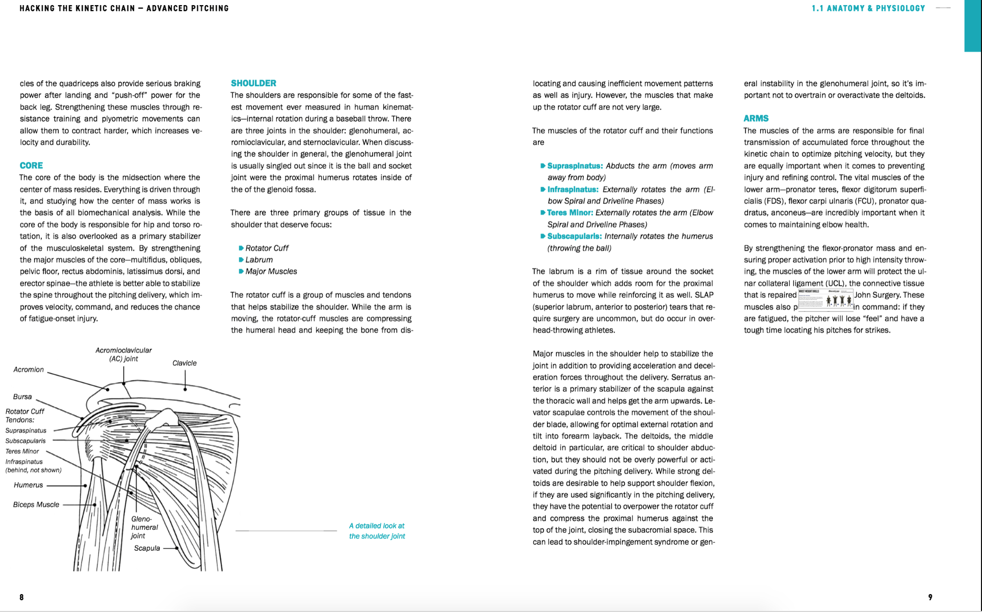 Hacking the Kinetic Chain: Advanced Pitching