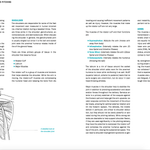 Hacking the Kinetic Chain: Advanced Pitching