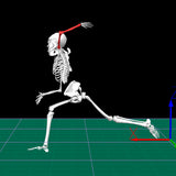 Pitching Biomechanics and Mechanics