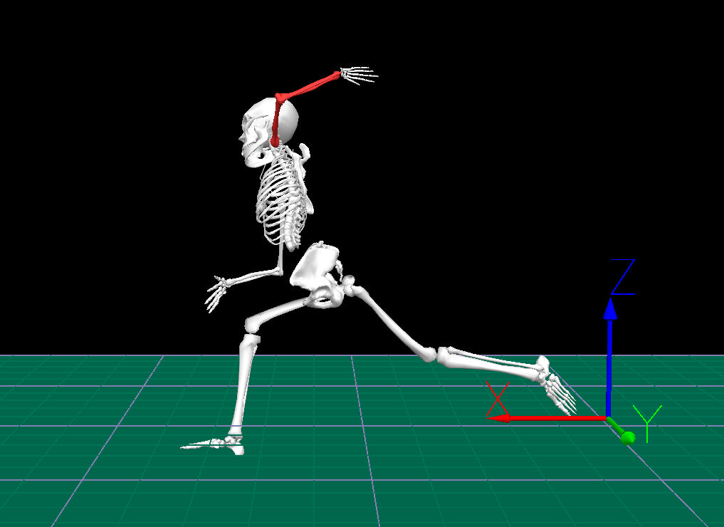 Pitching Biomechanics and Mechanics