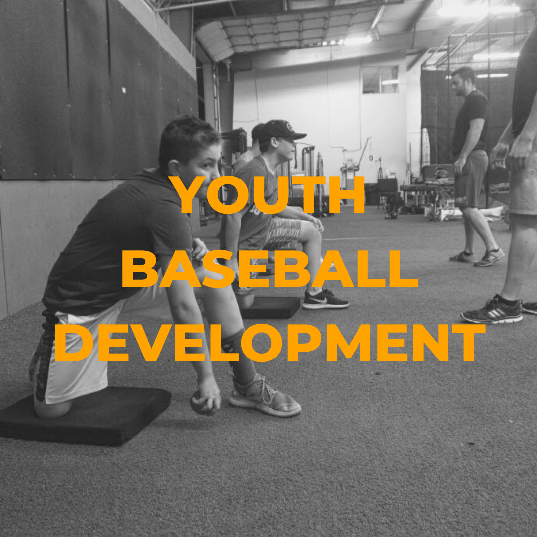 Youth Baseball Development