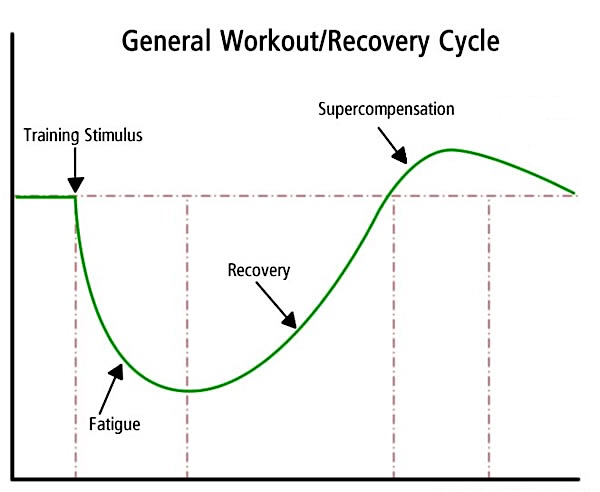 Why Progressive Overload Should Be Your Goal This Year